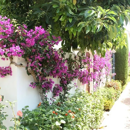 Appartement - Playa - 2 Con Amplio Jardin Privado Pa24 Estepona